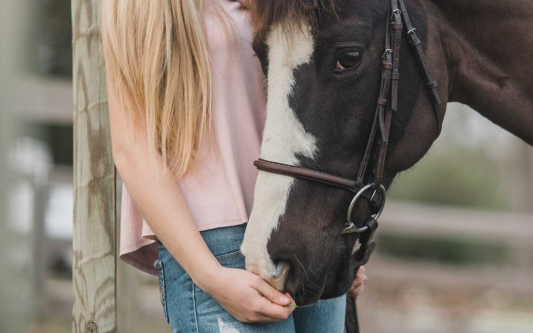 Services 7 Equine Interactions