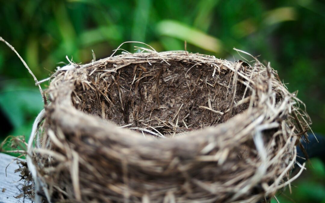 The Real Grief of an Empty Nest — and Why No One Warns You About It