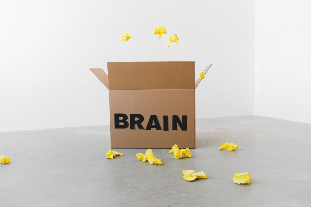 Brain box about Neurofeedback